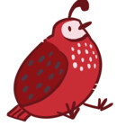 CaraCaracal