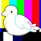 ebirds