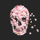 cherryblossom08