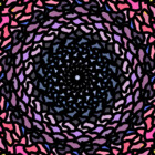 maven-raven