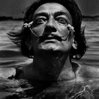 Sink-or-swim23