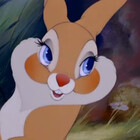 RabbitFierce
