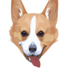 KidCorgi