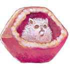 sarabea