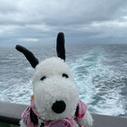 stichteddy123