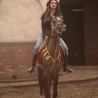 Mirzahorse