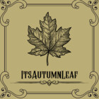 TheAutumnLeaf2
