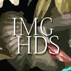 IMGHDS