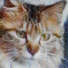susanne41