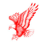Hasan1354
