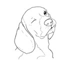kazuyi