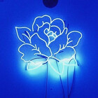 lucina-rose915