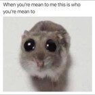 NeutronPuppy