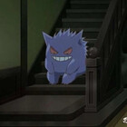 WestJumboLimbo