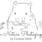 cviethphoto