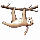 ClementineLabel
