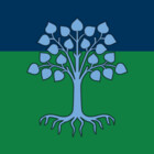 evanpacini
