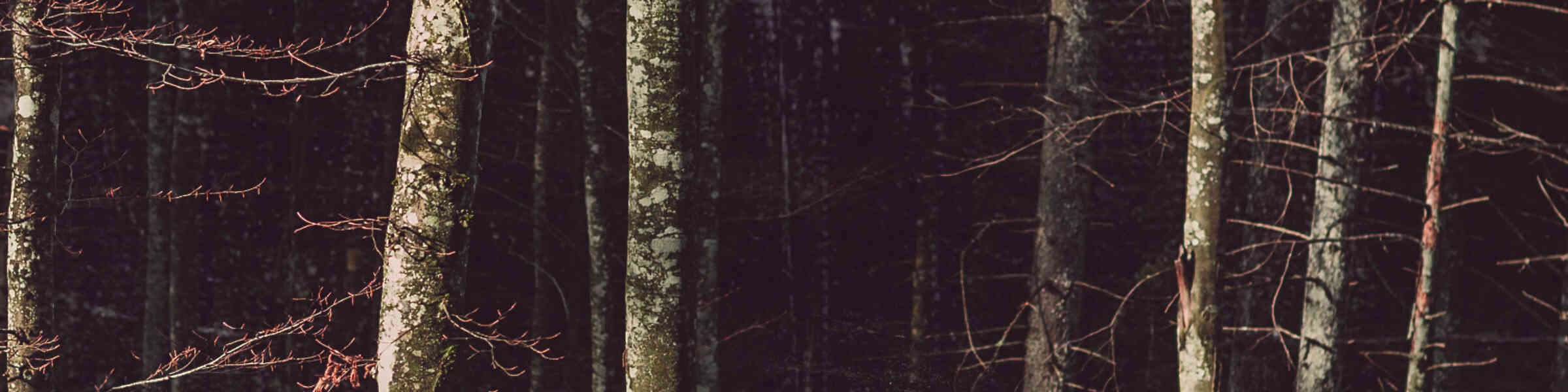 Redbubble banner for @coven