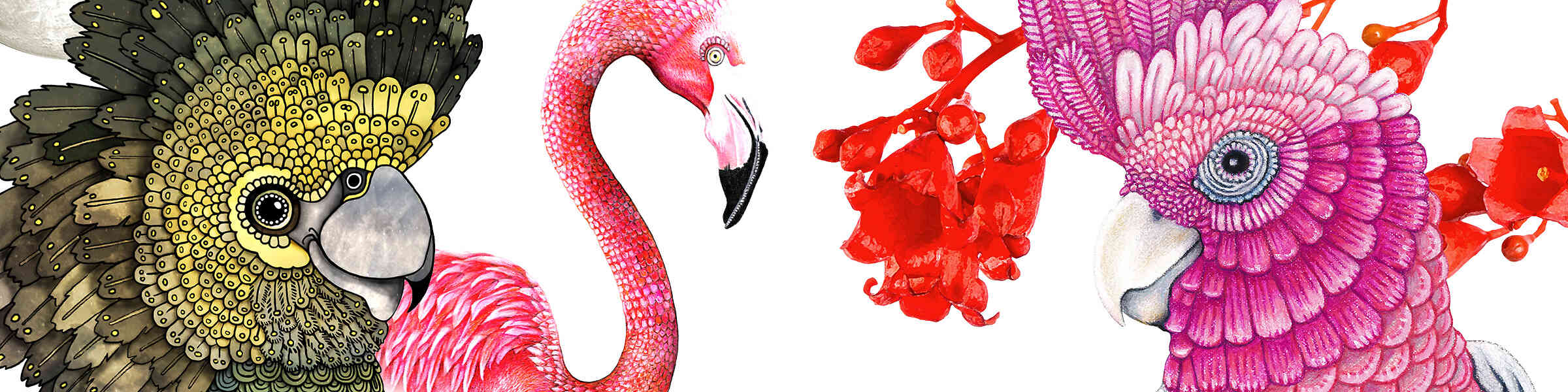 Redbubble banner for @Drawstring