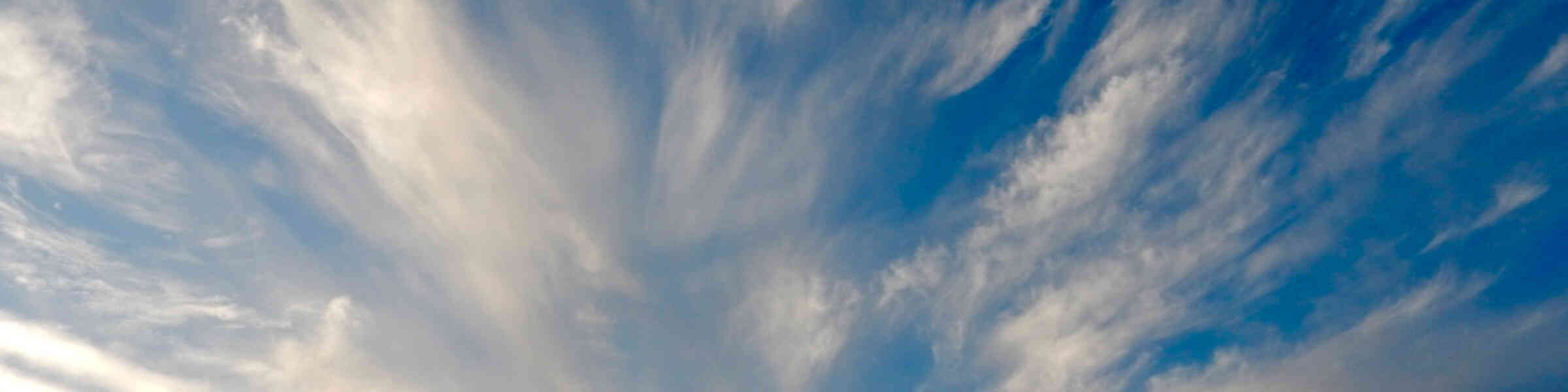 Banner des Künstlershops