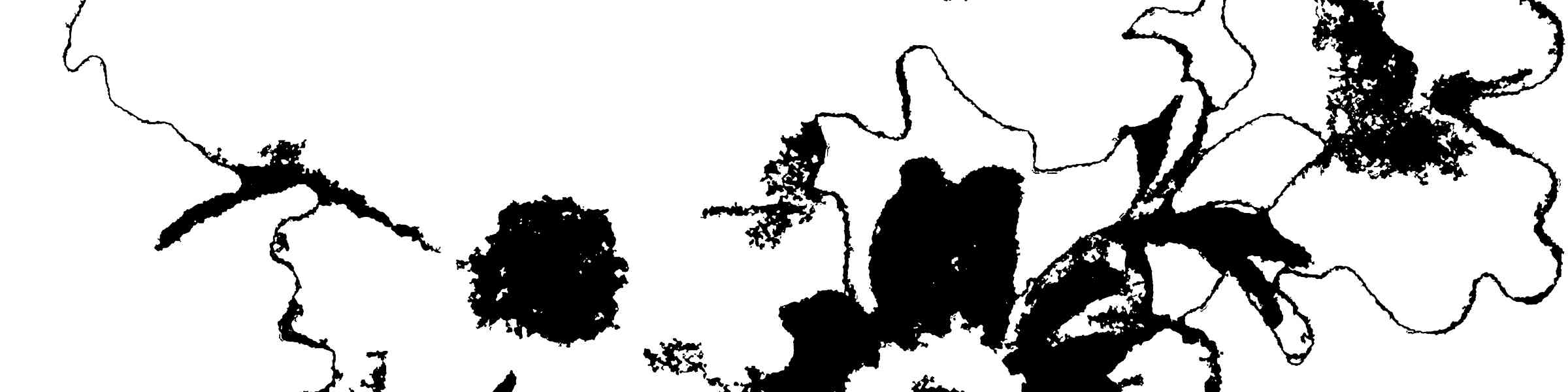 Banner des Künstlershops