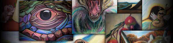 vindorious Shop |
