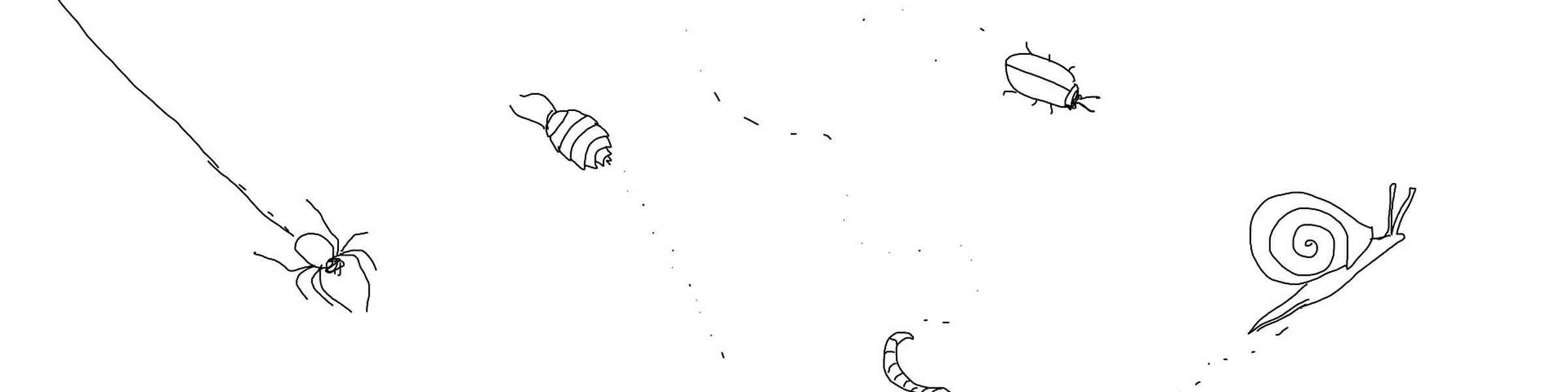 Banner des Künstlershops