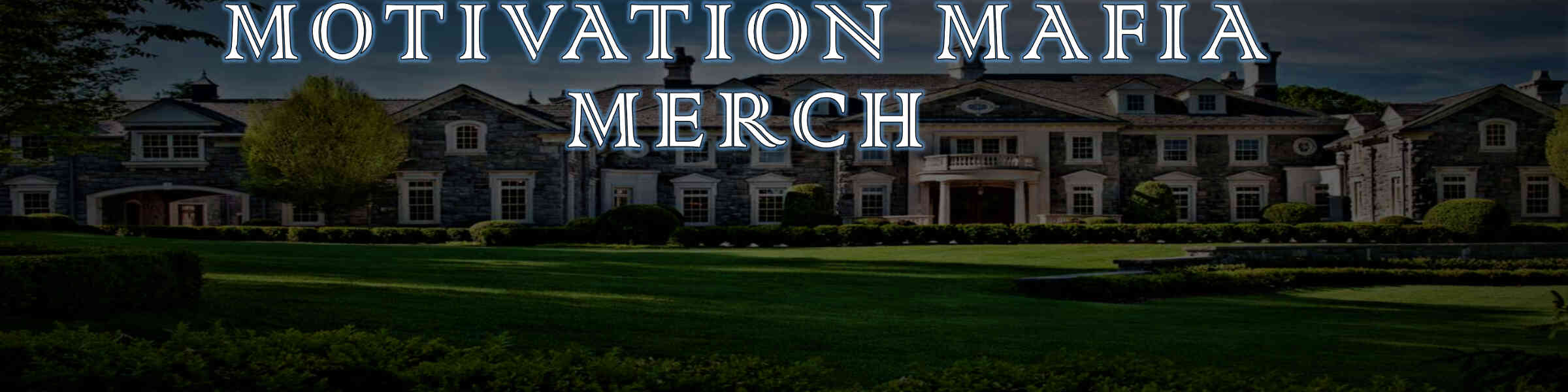 Artist shop banner image