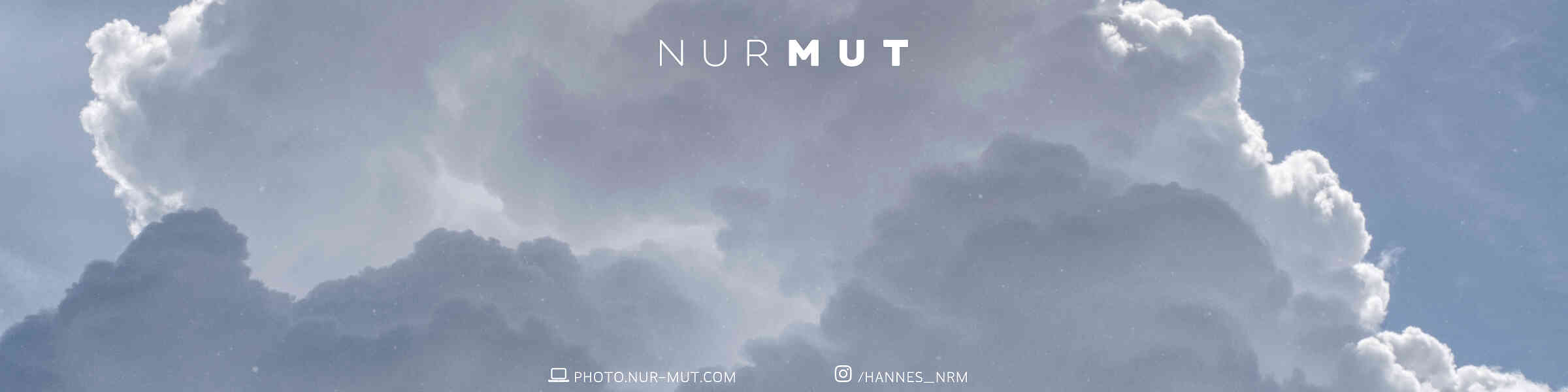 Banner des Künstlershops
