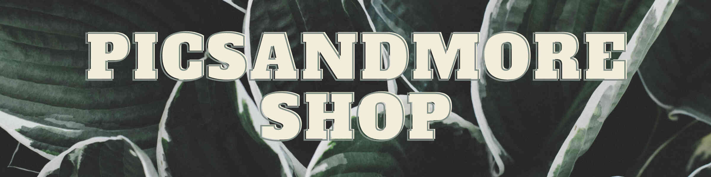 Artist shop banner image