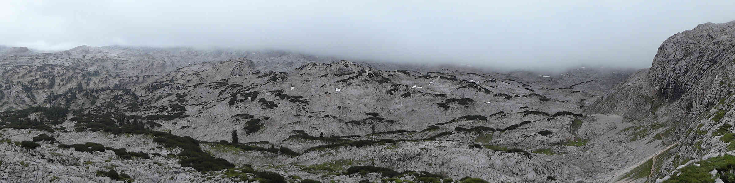 Banner des Künstlershops