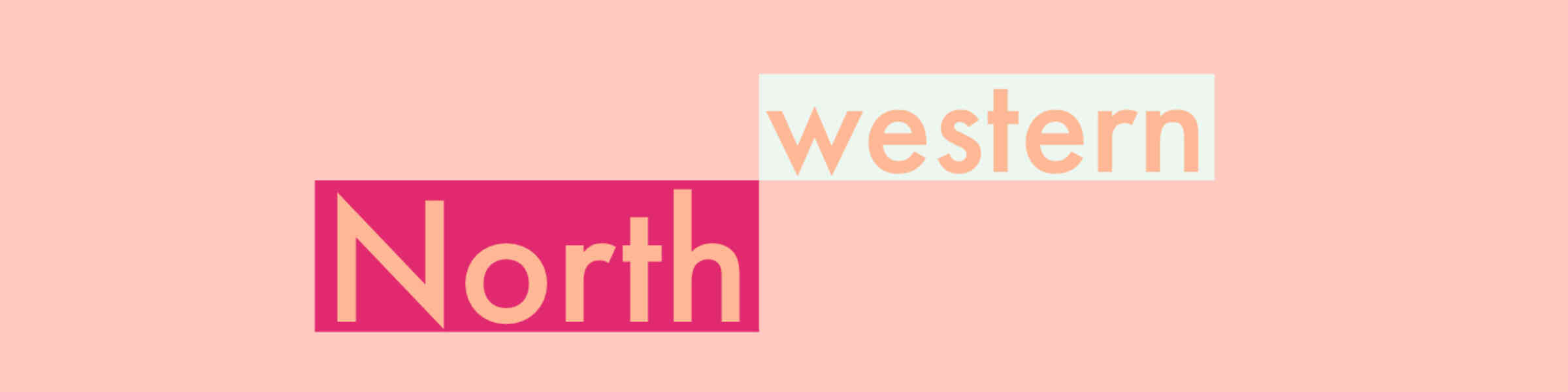 Redbubble banner for @Northwestern
