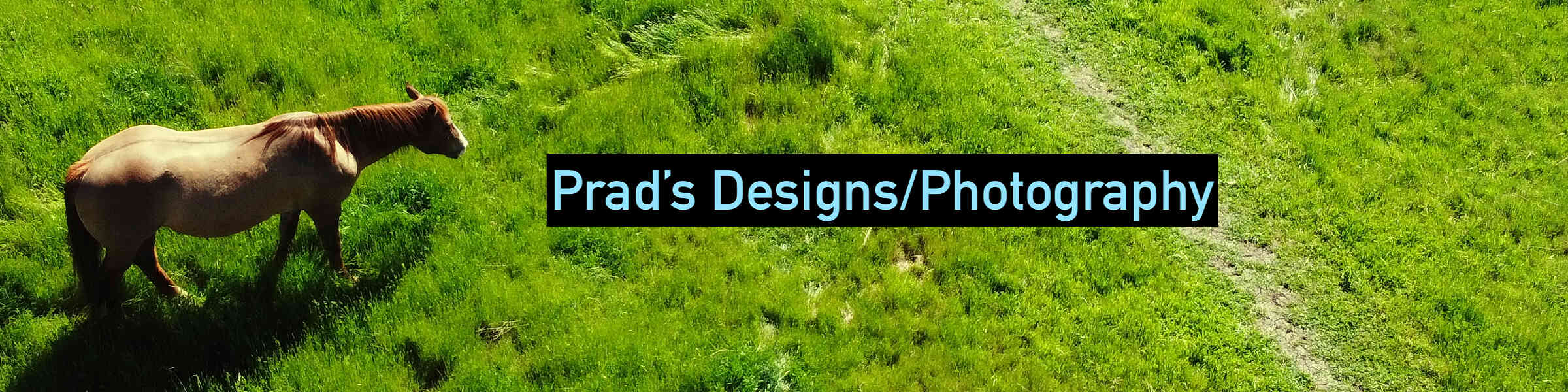 Redbubble banner for @Pradyun