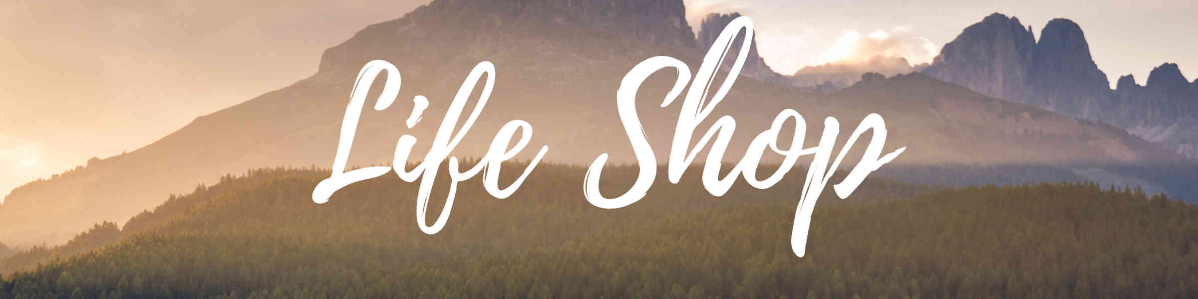 Artist shop banner image
