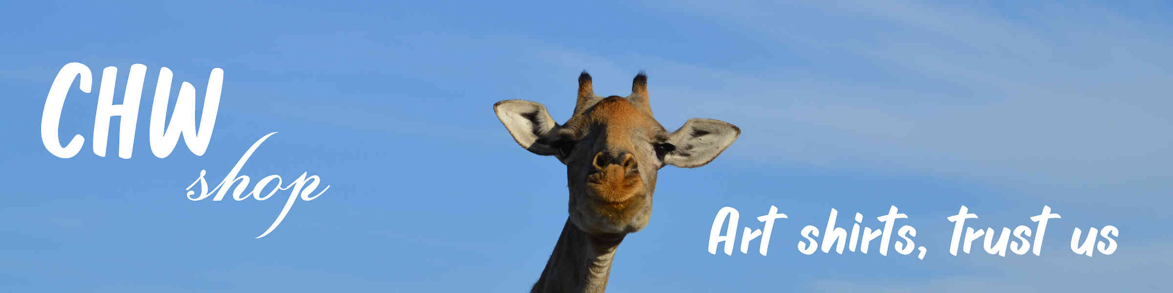 Artist shop banner image