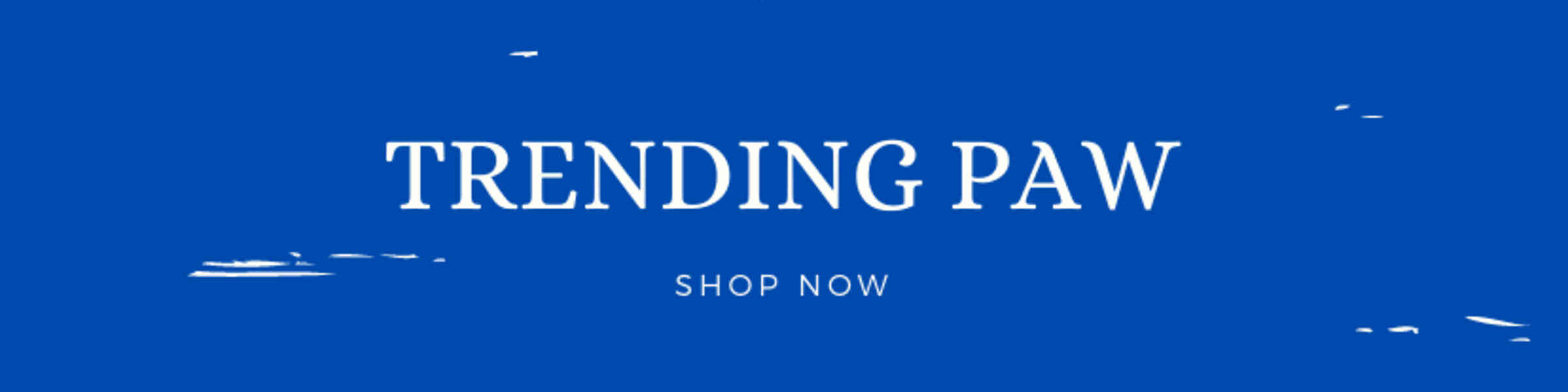 Artist shop banner image
