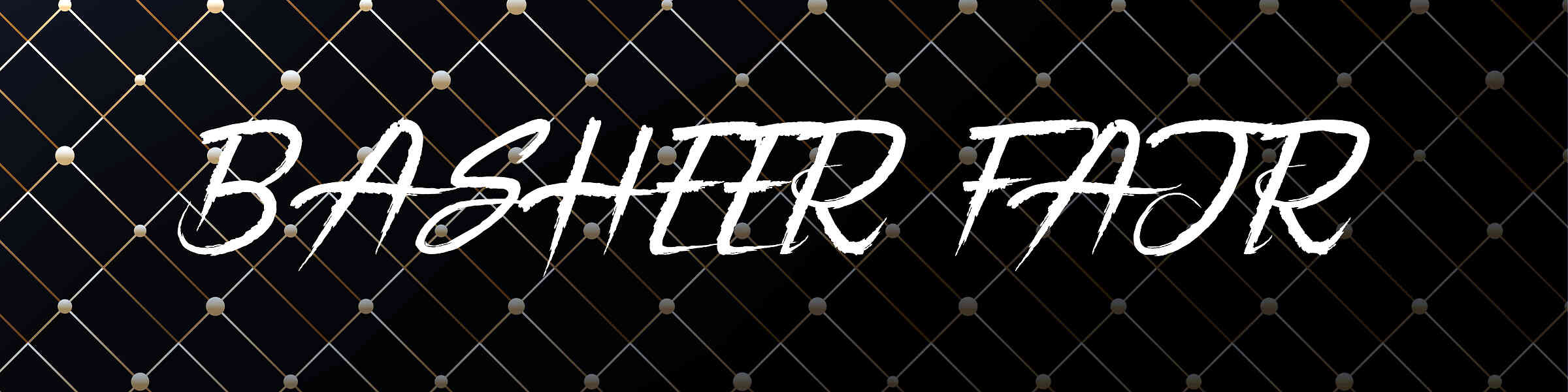 Artist shop banner image