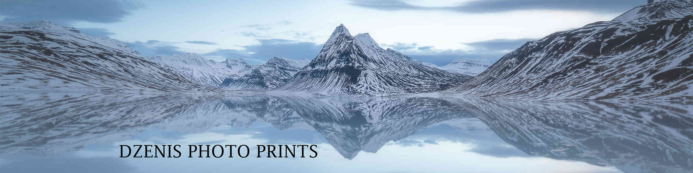 Artist shop banner image