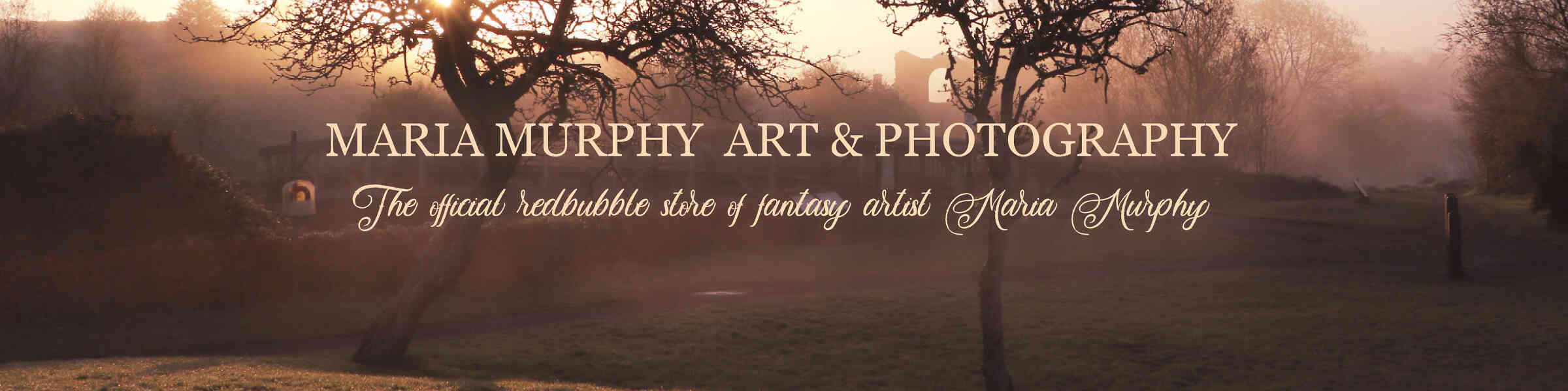 Artist shop banner image
