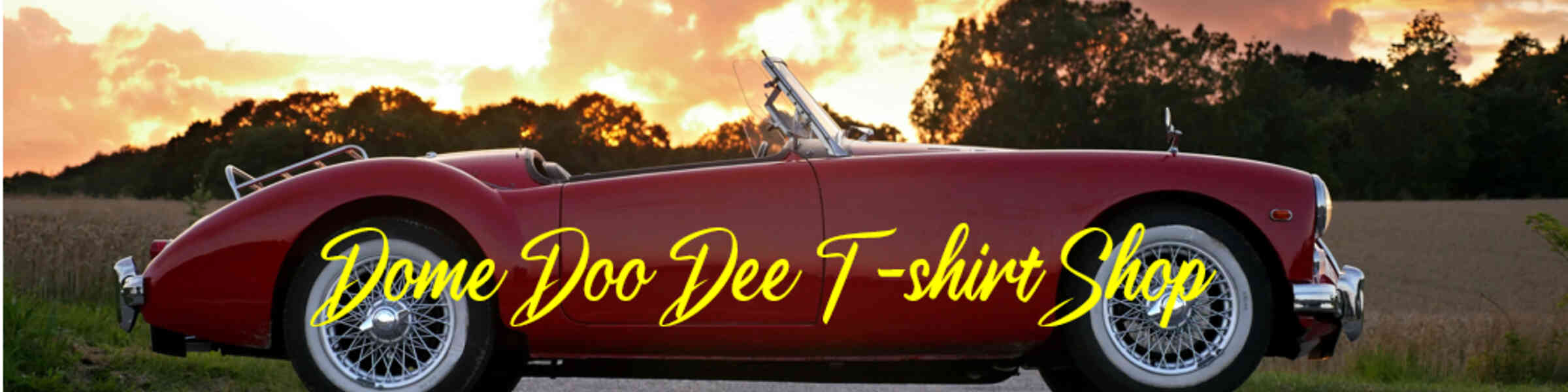 Artist shop banner image