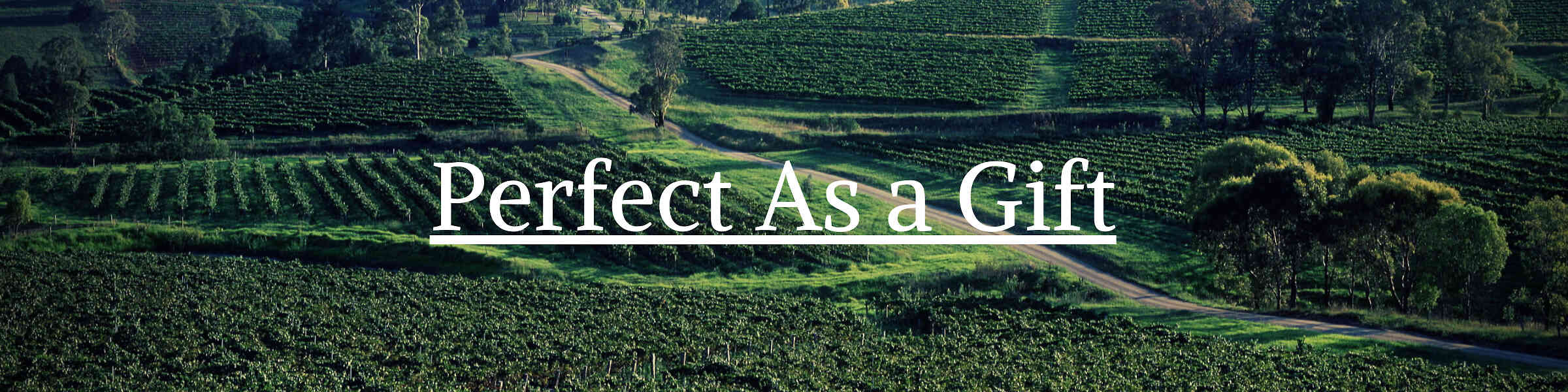 Redbubble banner for @Backpacking