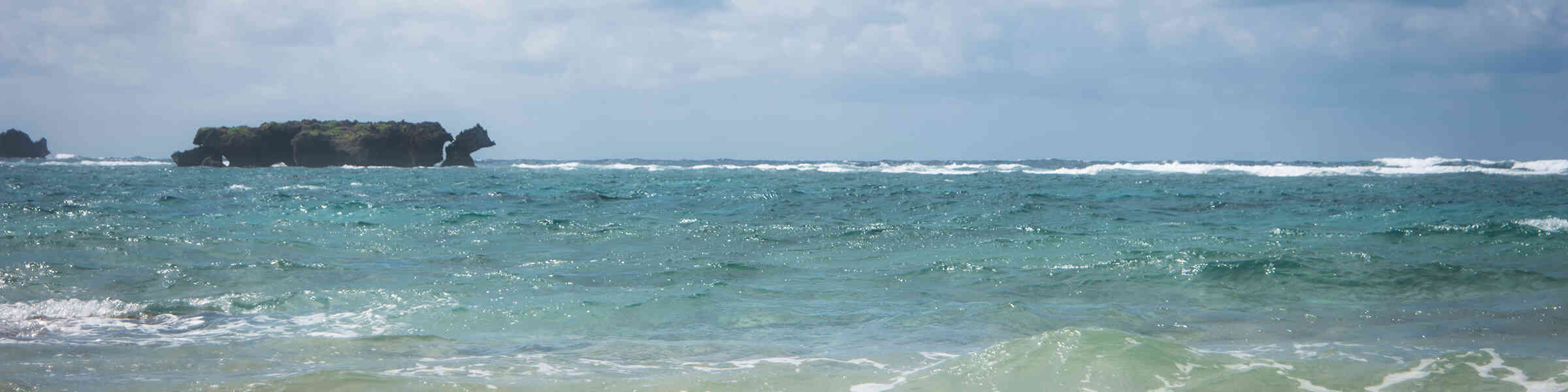 Banner des Künstlershops