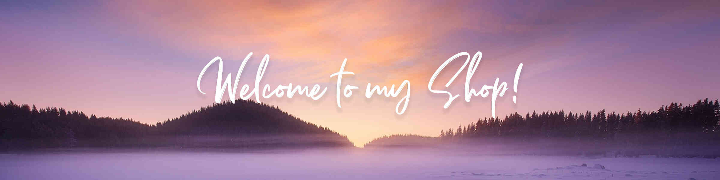 Artist shop banner image