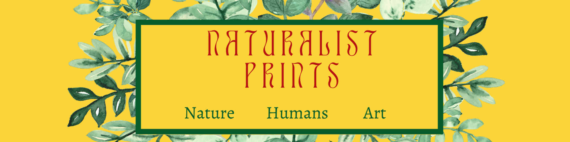 Artist shop banner image