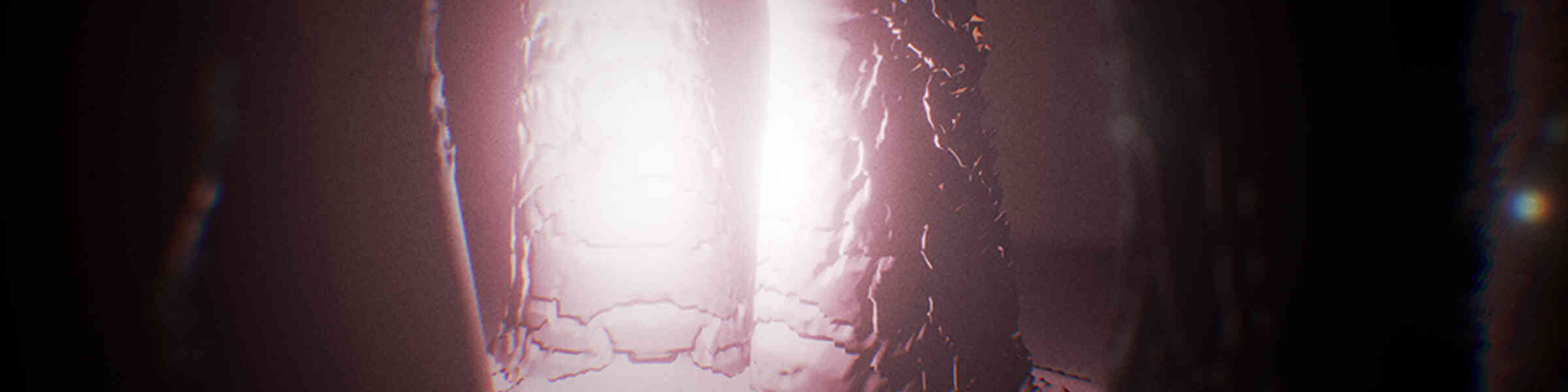 Banner des Künstlershops