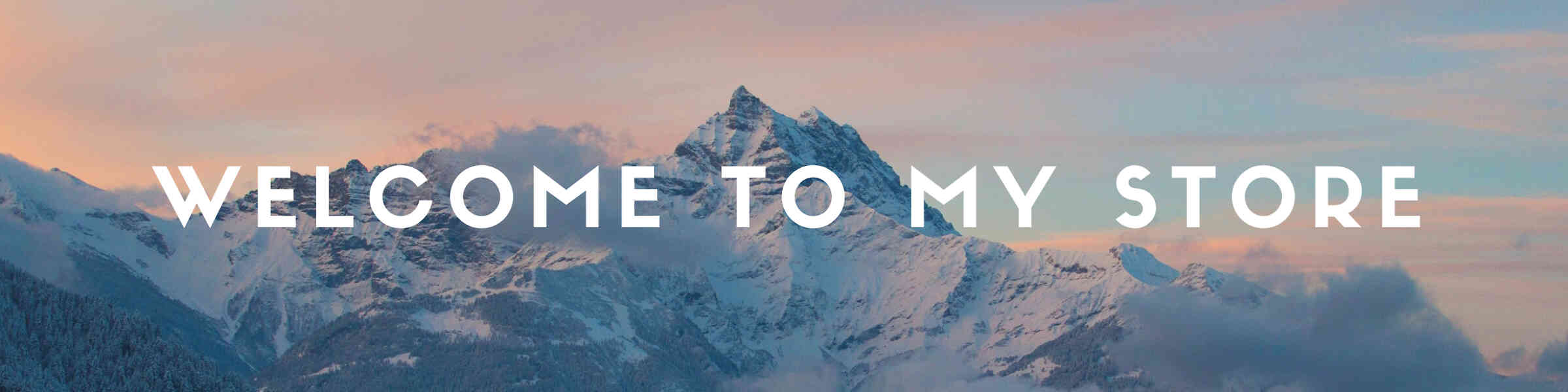 Artist shop banner image