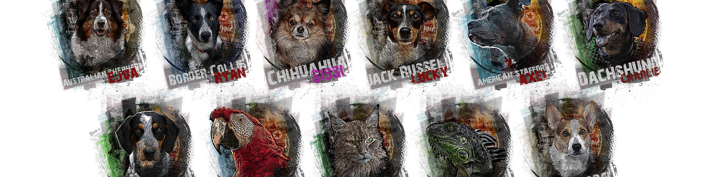 Artist shop banner image