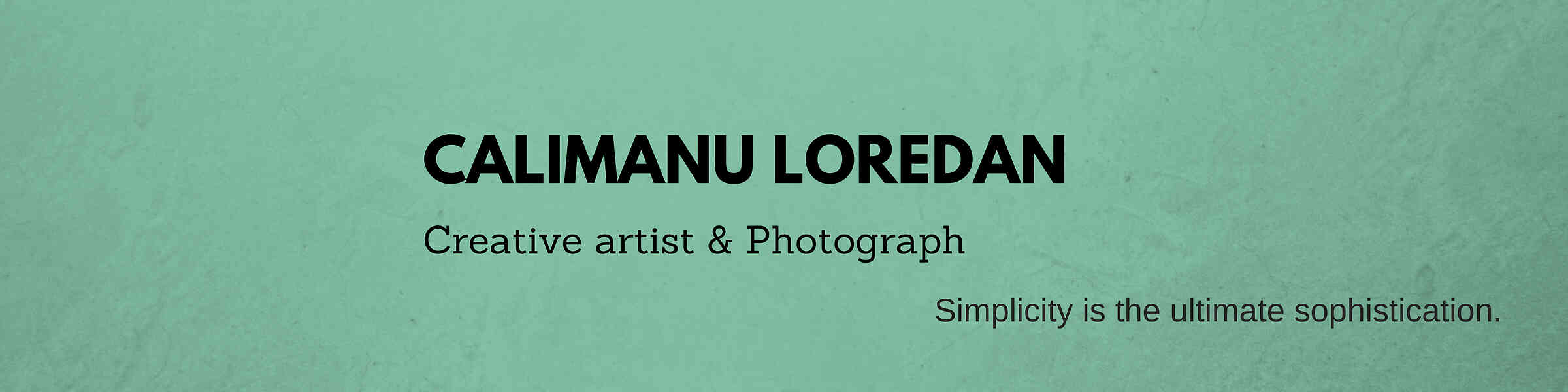 Artist shop banner image
