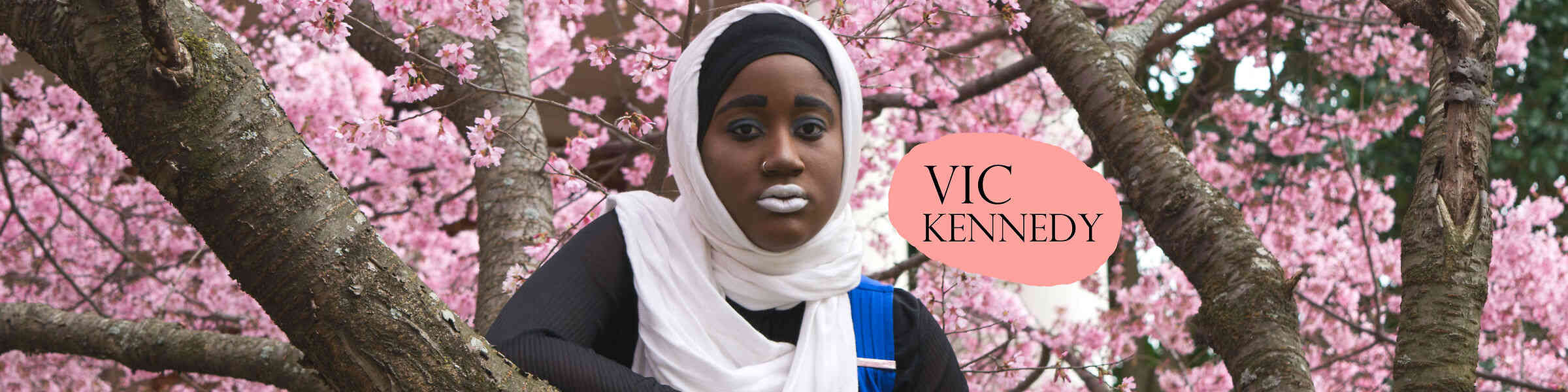 Redbubble banner for @vkennedy