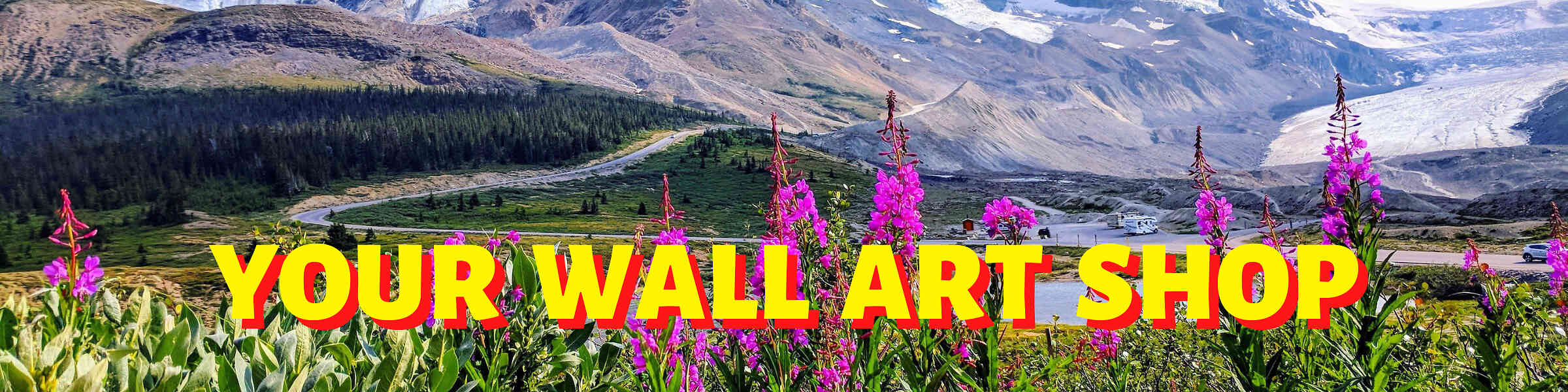 Artist shop banner image